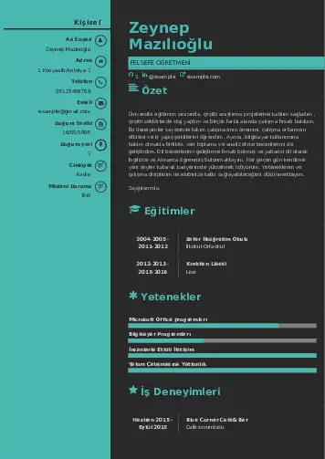 Felsefe Öğretmeni CV Örnekleri cv indir